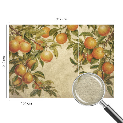 Décoration murale panoramique intissé avec un motif de branches de fruits