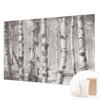 Tapisserie panoramique avec un motif de forêt de bouleaux