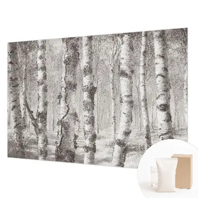Papier peint photographique intissé forêt de bouleaux