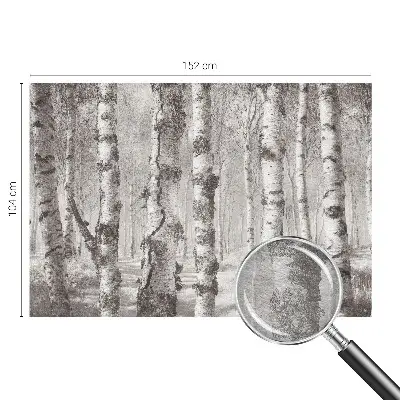 Papier peint photographique intissé forêt de bouleaux