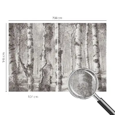 Papier peint photographique intissé forêt de bouleaux
