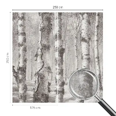 Papier peint photographique intissé forêt de bouleaux
