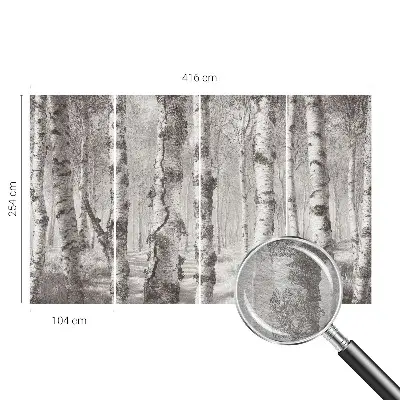 Papier peint photographique intissé forêt de bouleaux
