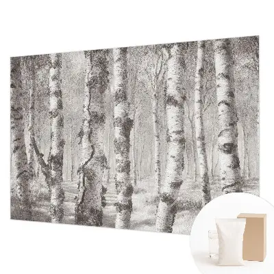 Papier peint photographique intissé forêt de bouleaux
