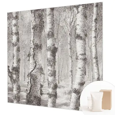 Papier peint photographique intissé forêt de bouleaux