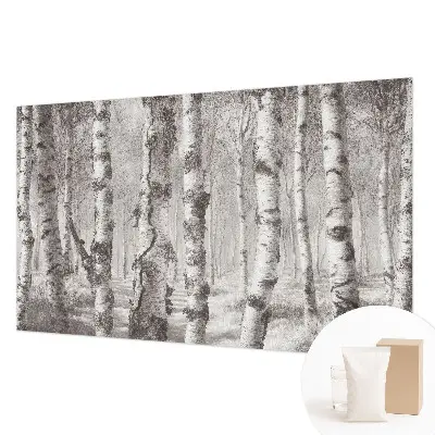 Papier peint photographique intissé forêt de bouleaux