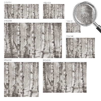 Tapisserie panoramique avec un motif de forêt de bouleaux