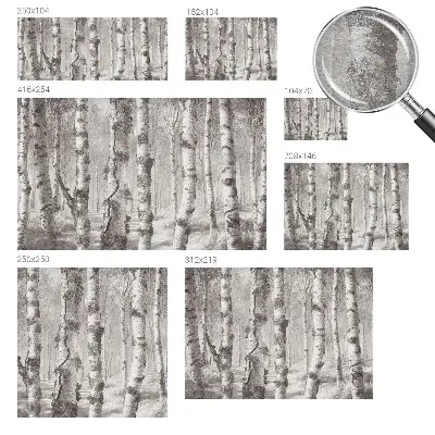 Papier peint photographique intissé forêt de bouleaux