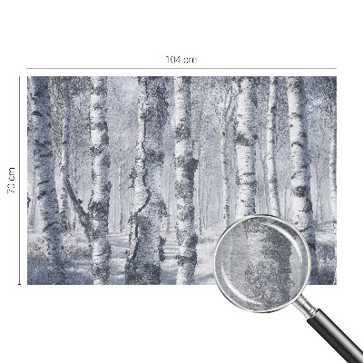 Papier peint panoramique sur mesure Mrazivá príroda