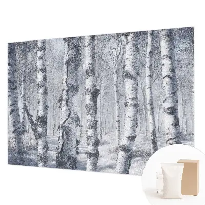 Papier peint photo imprimé sur tissu non tissé Nature glaciale