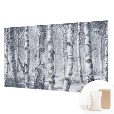 Papier peint photo imprimé sur tissu non tissé Nature glaciale