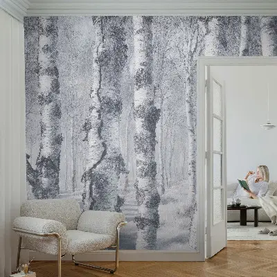 Papier peint photo imprimé sur tissu non tissé Nature glaciale
