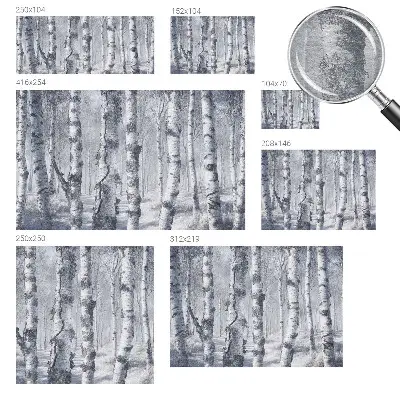 Papier peint photo imprimé sur tissu non tissé Nature glaciale