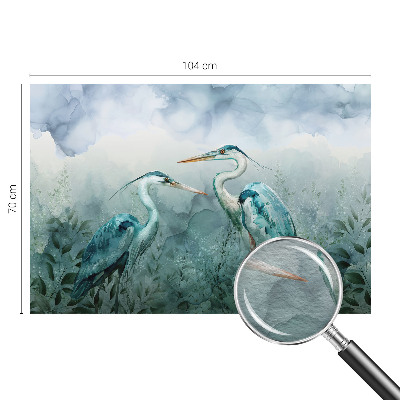 Papier peint panoramique tendance Vtáky prírody