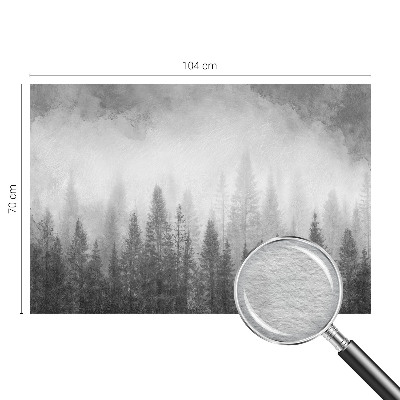 Papier peint photo intissé avec le motif « Lesná hmla »