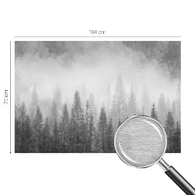 Papier peint photo grand format pour le mur brouillard forestier
