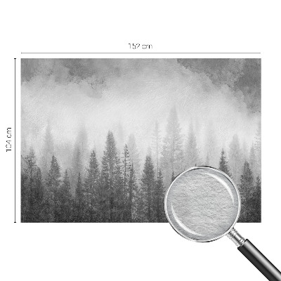 Papier peint photo intissé avec le motif « Lesná hmla »