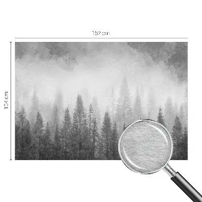 Papier peint photo grand format pour le mur brouillard forestier