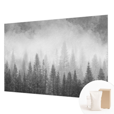 Papier peint photo intissé avec le motif « Lesná hmla »