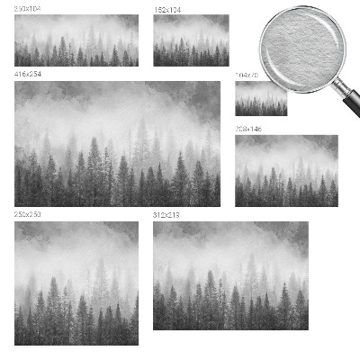 Papier peint photo intissé avec le motif « Lesná hmla »