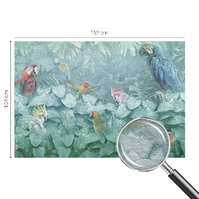 Décoration murale panoramique intissé Exotické vtáky