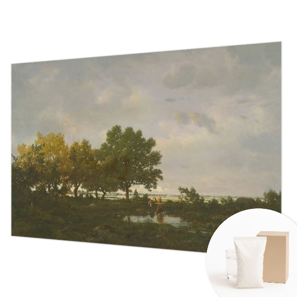 Papier peint photo intissé avec un motif de paysage forestier