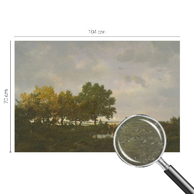Papier peint photo intissé avec un motif de paysage forestier