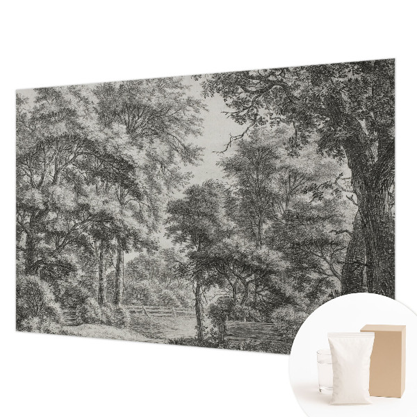 Décoration murale panoramique intissé avec une scène forestière