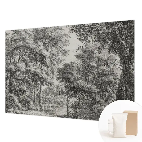 Papier peint photo grand format pour le mur paysage forestier