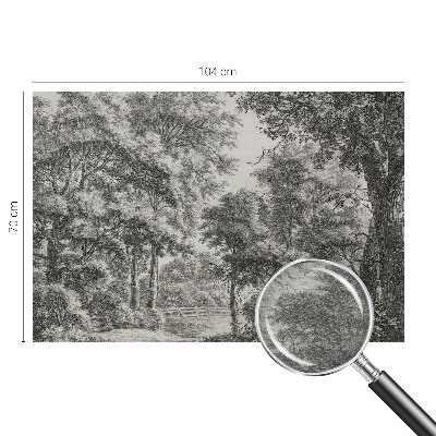 Décoration murale panoramique intissé avec une scène forestière