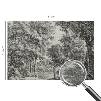 Décoration murale panoramique intissé avec une scène forestière