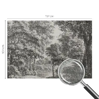Papier peint photo grand format pour le mur paysage forestier
