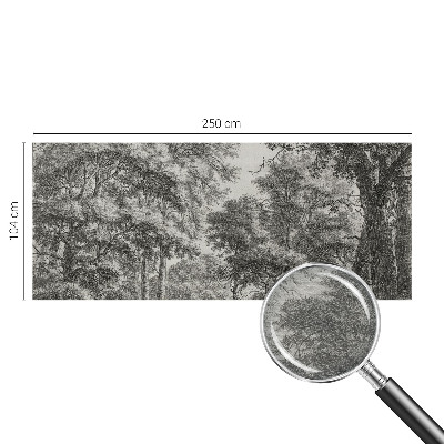 Décoration murale panoramique intissé avec une scène forestière