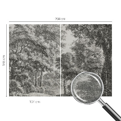 Décoration murale panoramique intissé avec une scène forestière