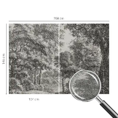 Papier peint photo grand format pour le mur paysage forestier