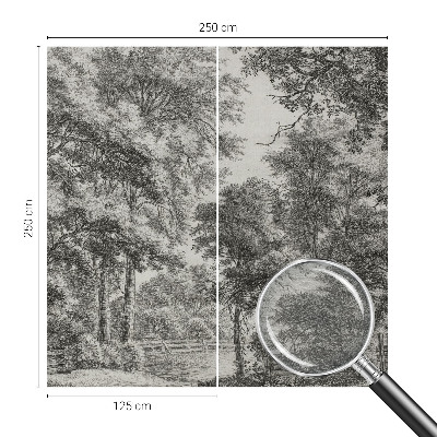 Décoration murale panoramique intissé avec une scène forestière