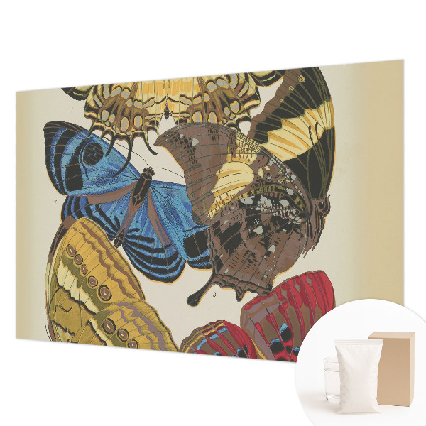 Papier peint panoramique haut de gamme Inšpirácia motýľmi