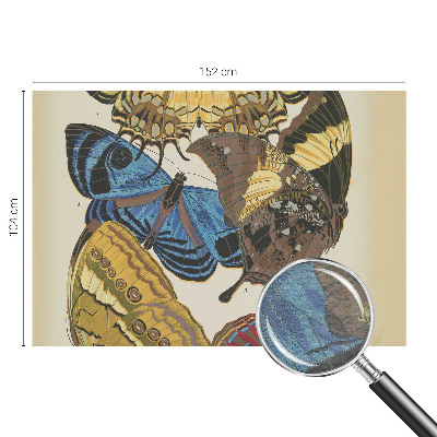 Papier peint panoramique haut de gamme Inšpirácia motýľmi