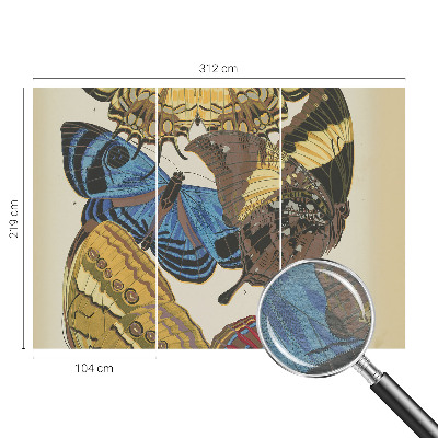 Papier peint panoramique haut de gamme Inšpirácia motýľmi