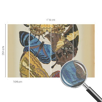 Papier peint panoramique haut de gamme Inšpirácia motýľmi