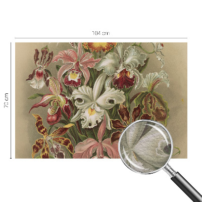 Papier peint panoramique de haute qualité zéphyr floral apportant une élégance florale