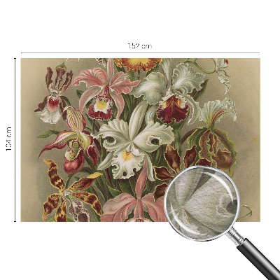 Papier peint panoramique de haute qualité Kvetinová elegancia