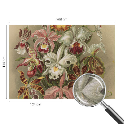 Papier peint panoramique de haute qualité zéphyr floral apportant une élégance florale