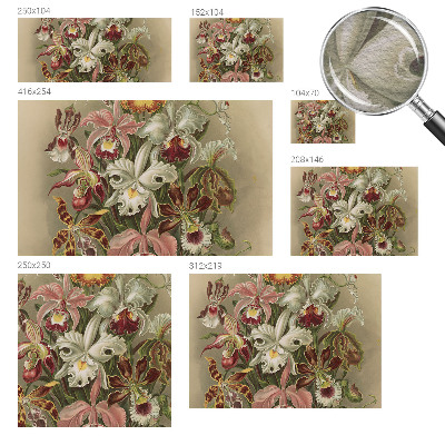 Papier peint panoramique de haute qualité zéphyr floral apportant une élégance florale