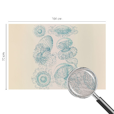 Papier peint panoramique facile à poser Morské medúzy