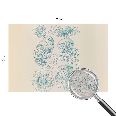 Papier peint panoramique facile à poser Morské medúzy