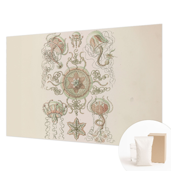 Papier peint panoramique intissé moderne avec un motif représentant un monde sous-marin