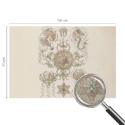 Papier peint panoramique intissé moderne Podvodný svet