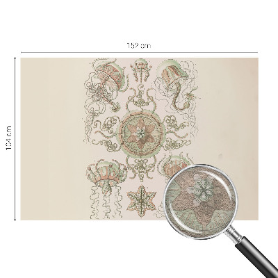 Papier peint panoramique intissé moderne Podvodný svet