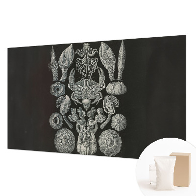 Papier peint photographique Podvodné formy